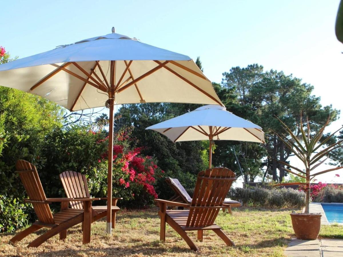 Explorer Guesthouse Somerset West Ngoại thất bức ảnh
